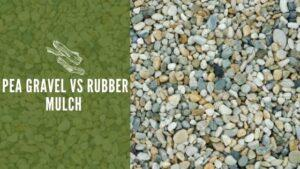 Pea Gravel Vs Rubber Mulch: Pros &amp;amp; Cons throughout Gravel Vs Mulch Cost Comparison