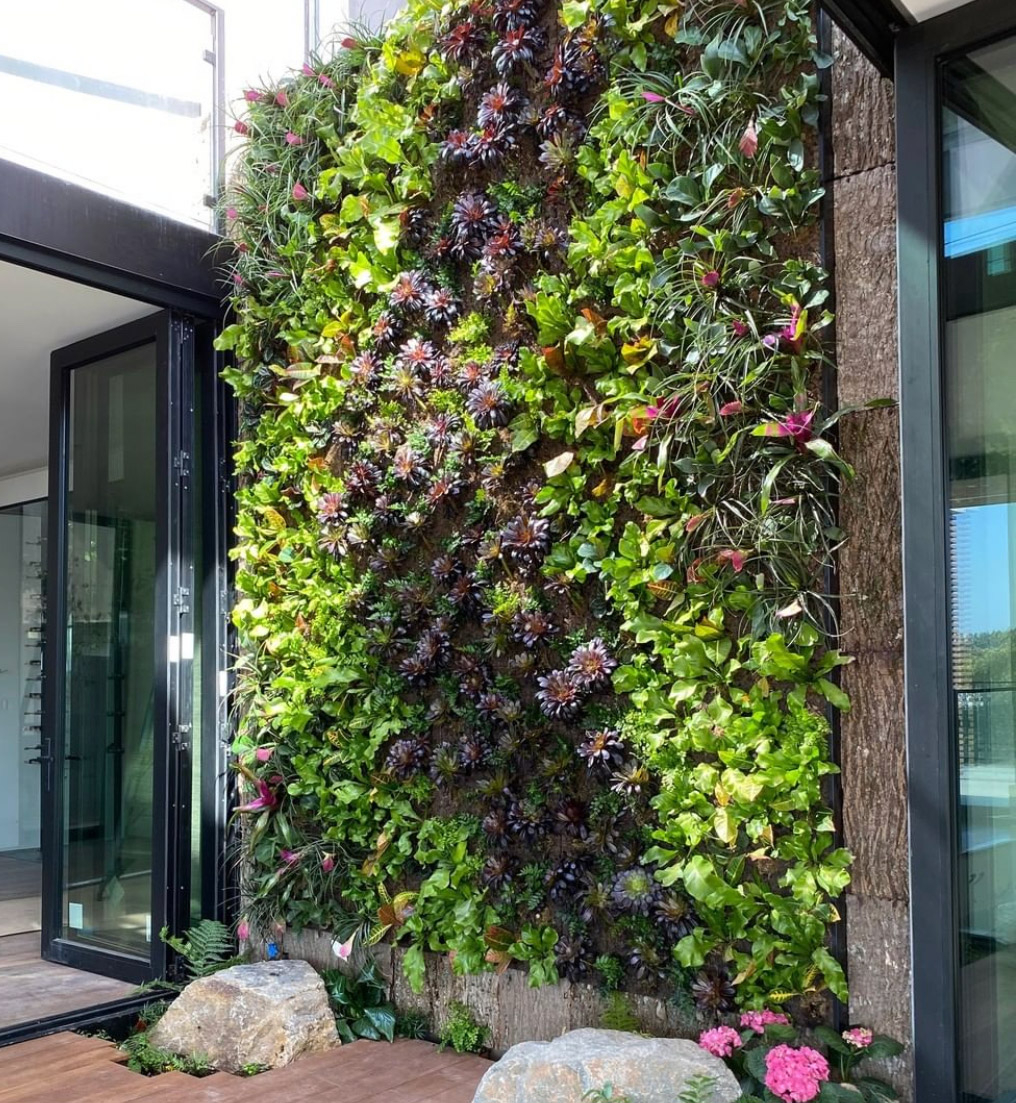 Projects - Vertical Garden Solutions pertaining to Vertical Garden Landscaping