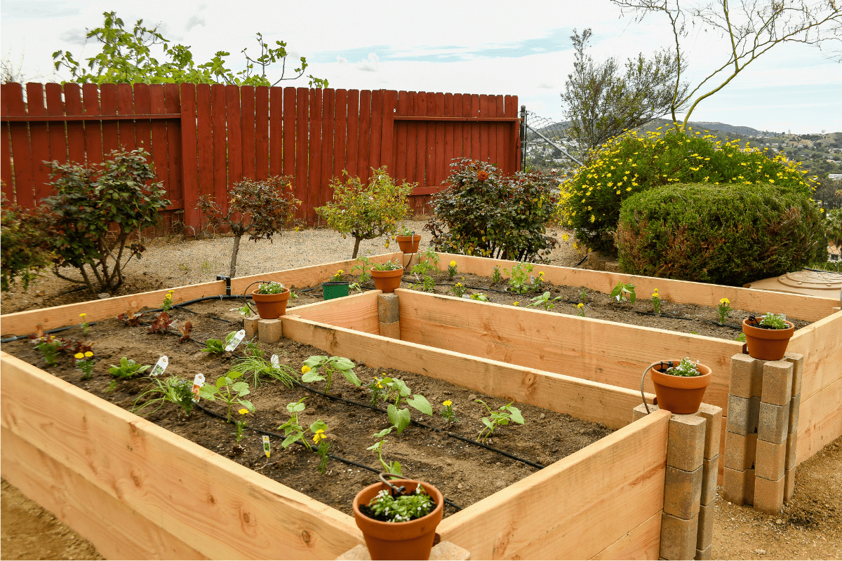 Raised Bed Garden Corners At Daryl Pulver Blog with Budget Friendly Raised Bed Ideas That Look High End Without the Cost