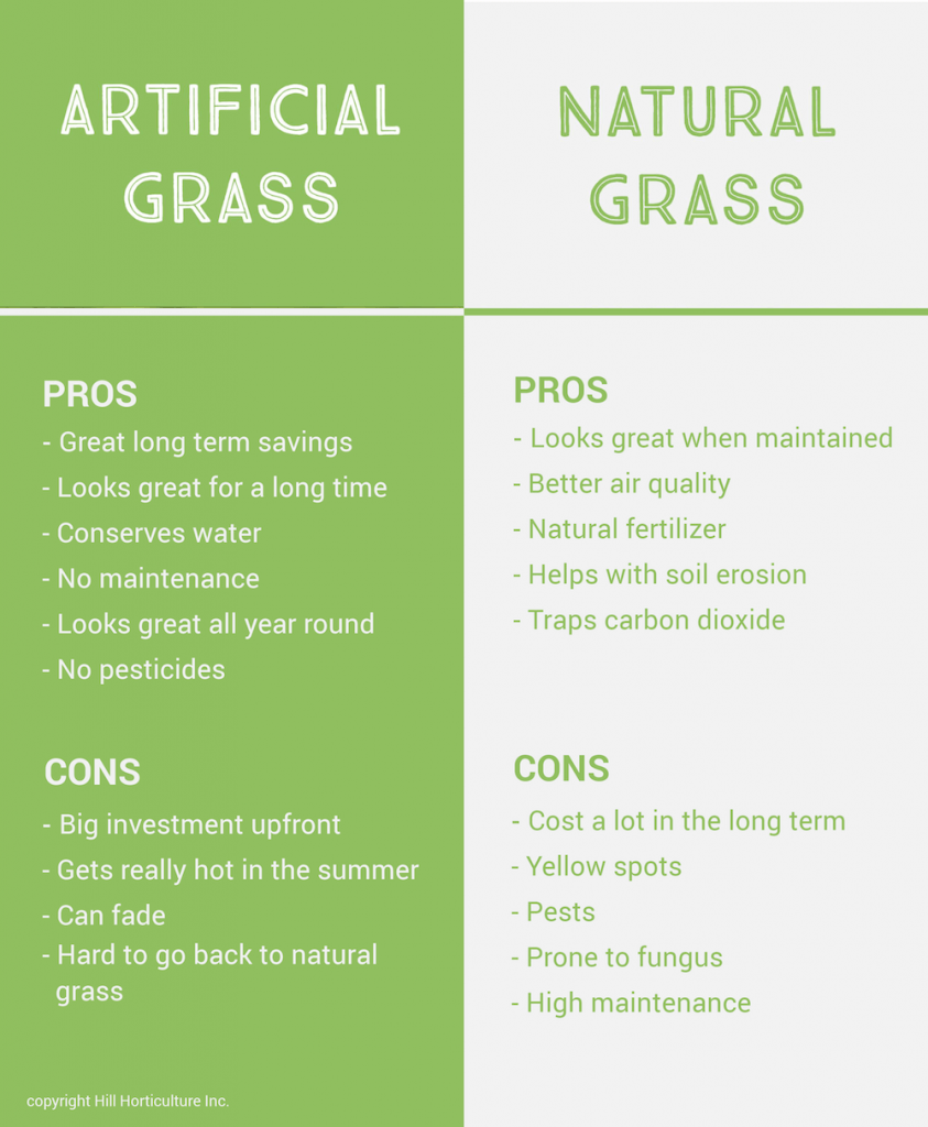 Real Grass Vs Artificial Grass At Harrison Greenwood Blog throughout Five Year Cost Comparison of Synthetic vs Natural Lawns