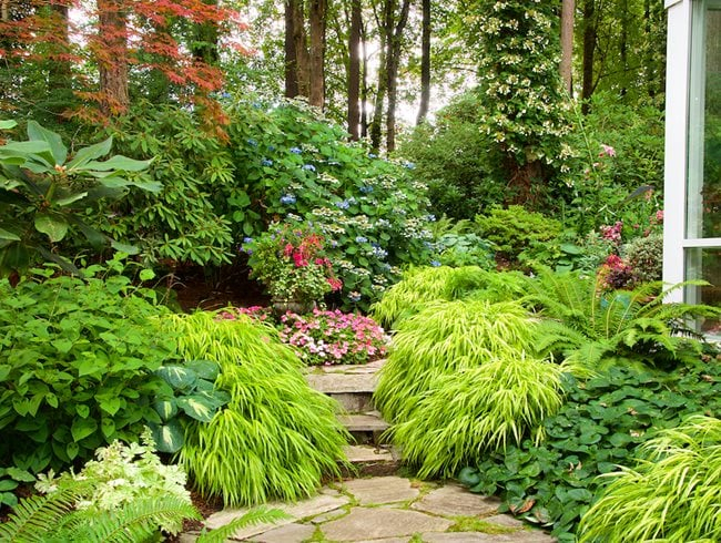Shade Gardens: Ideas, Design &amp;amp; Inspiration | Garden Design intended for Shade Garden Landscaping