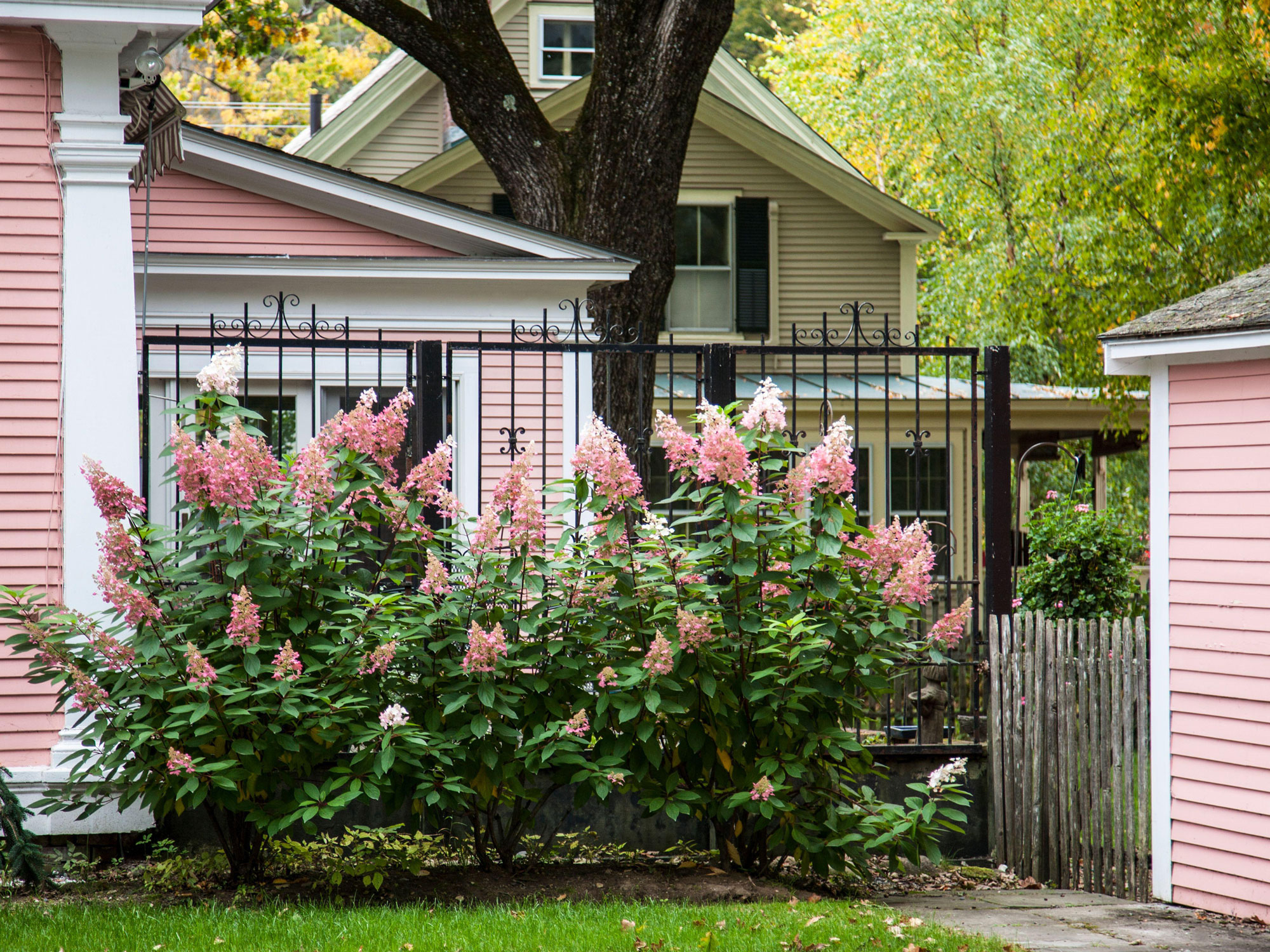 Simple Front Landscaping Shrubs 10 Simple Ways To Create A Gorgeous inside Practical tips for selecting durable and cheap evergreen shrubs for your home exterior