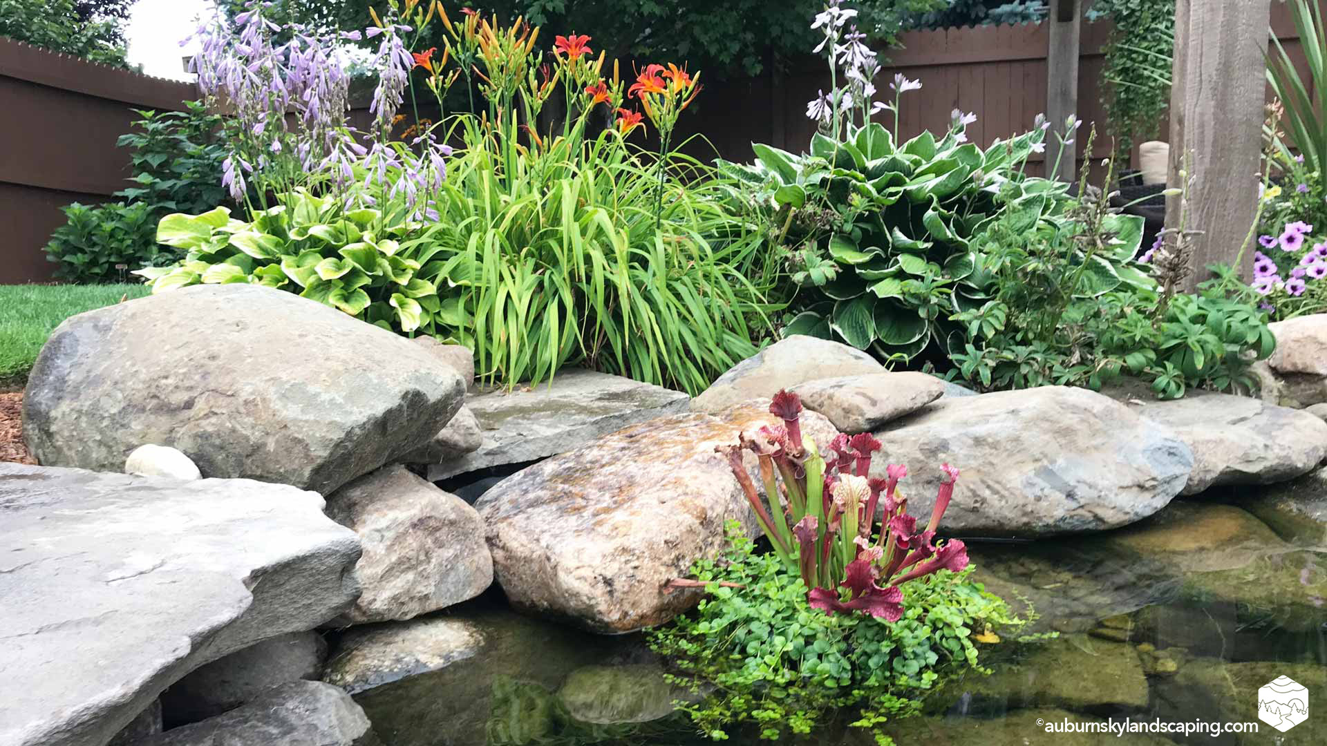 Softscape - Auburn Sky Landscaping with Why Softscape Is the Living Heart of Your 2026 Garden Design