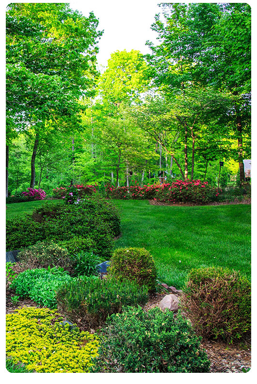 Softscape Designs - Garden Art Landscaping inside Why Softscape Is the Living Heart of Your 2026 Garden Design