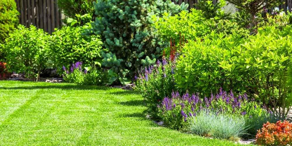 Softscape Landscaping Design Tips For A Lush Garden throughout Why Softscape Is the Living Heart of Your 2026 Garden Design