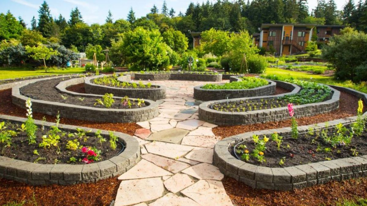 Sustainable Landscaping Practices For A Greener Tomorrow - Decoratoradvice with Simple ways to reduce maintenance while boosting biodiversity in your garden