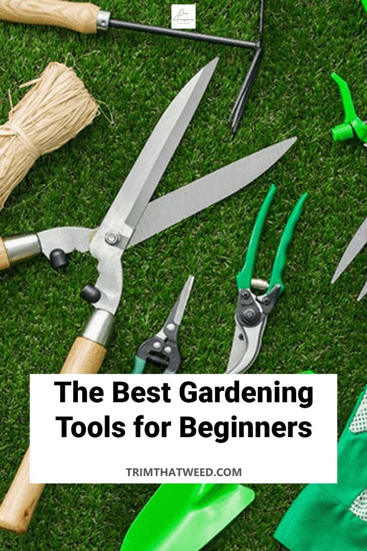 The Best Gardening Tools For Beginners – Artofit inside Best Budget Landscaping Tools Beginner