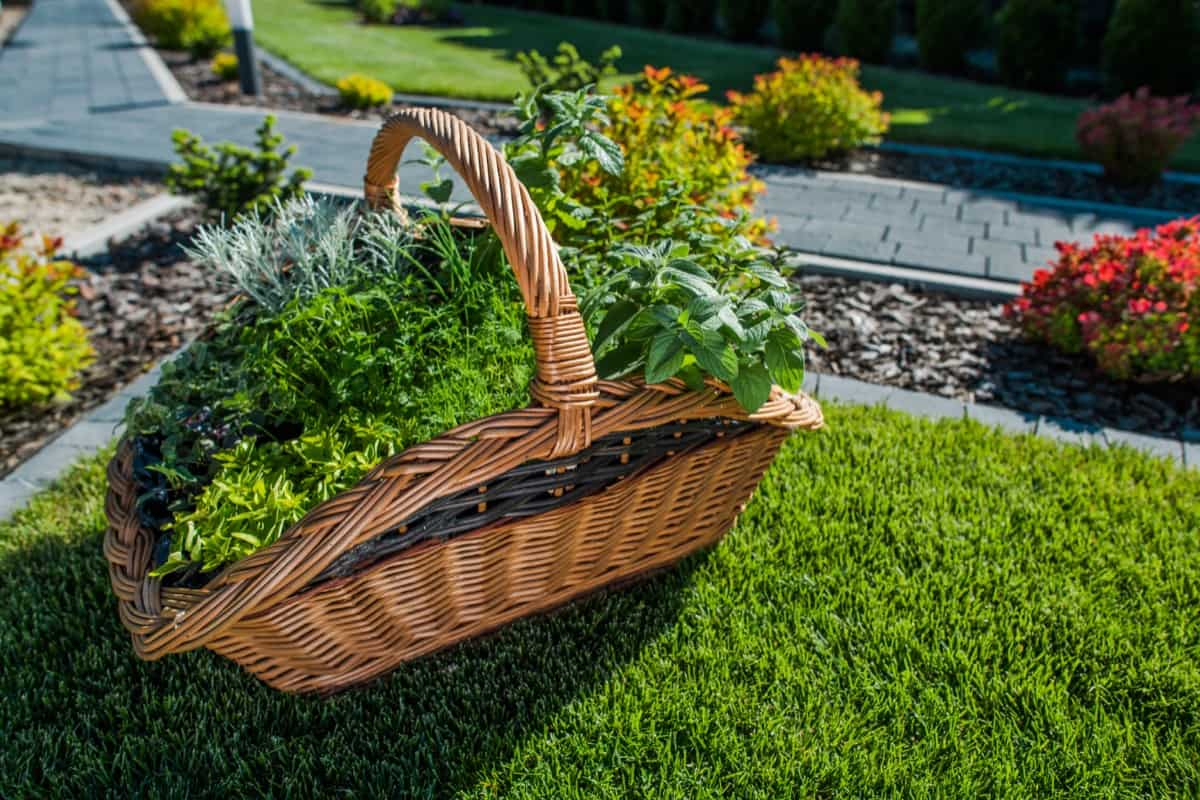 Transform Your Yard On Budget With 20 Cheap Landscaping Ideas And Low ... with regard to How to Slash Your Outdoor Renovation Costs by Timing It Right This Year