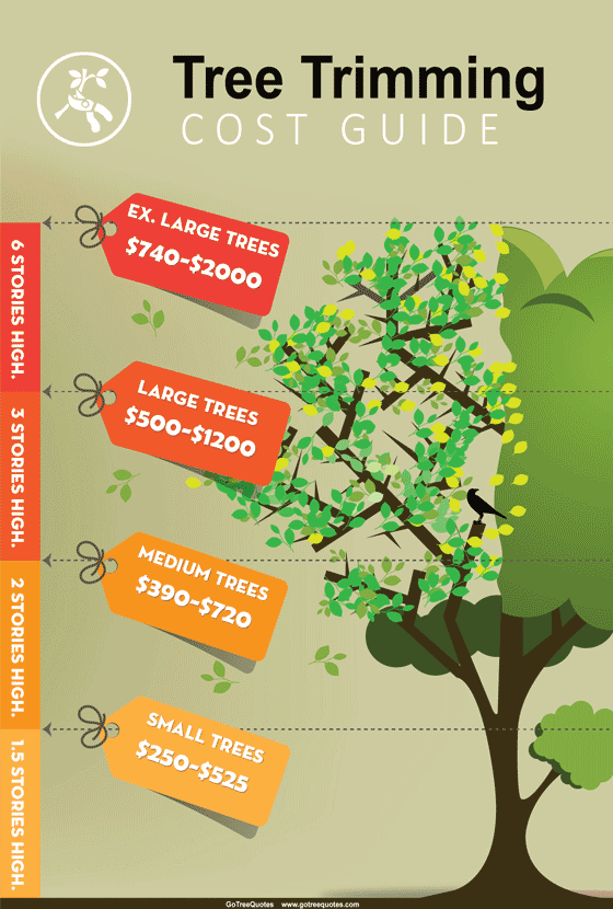 Tree Trimming Cost in A Homeowner Guide to Fair Hedge Trimming Prices in 2026