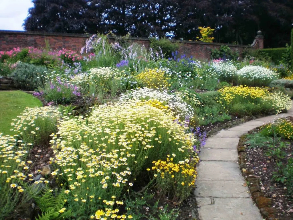 What Is An Informal Garden? - Garden Ninja: Lee Burkhill Garden Design intended for Ditch the symmetry and discover the beauty of asymmetric garden design