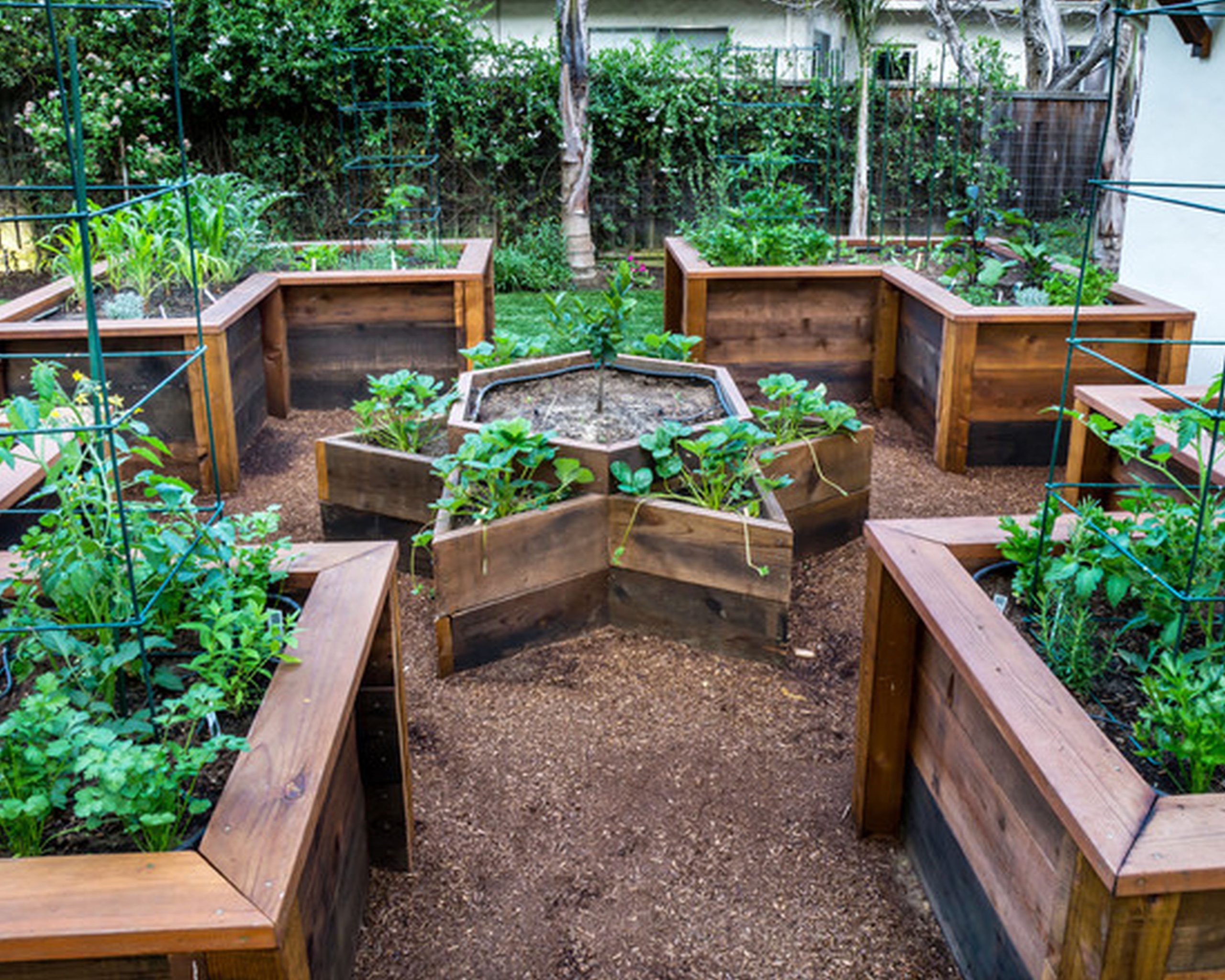 Why Raised Beds For Vegetable Garden At Michelle Farrell Blog with Raised Bed Landscaping