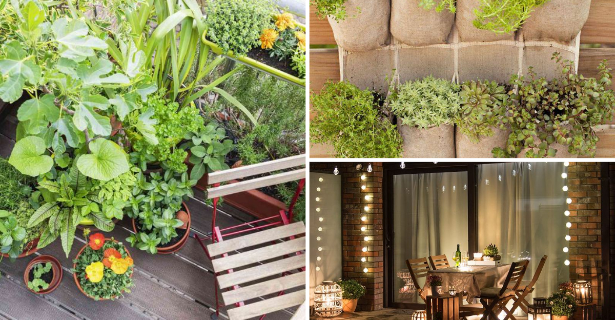 11 Mistakes That Make Your Balcony Garden Look Cluttered (And 11 ... inside Why your compact garden feels crowded and the easy fixes to add instant visual depth