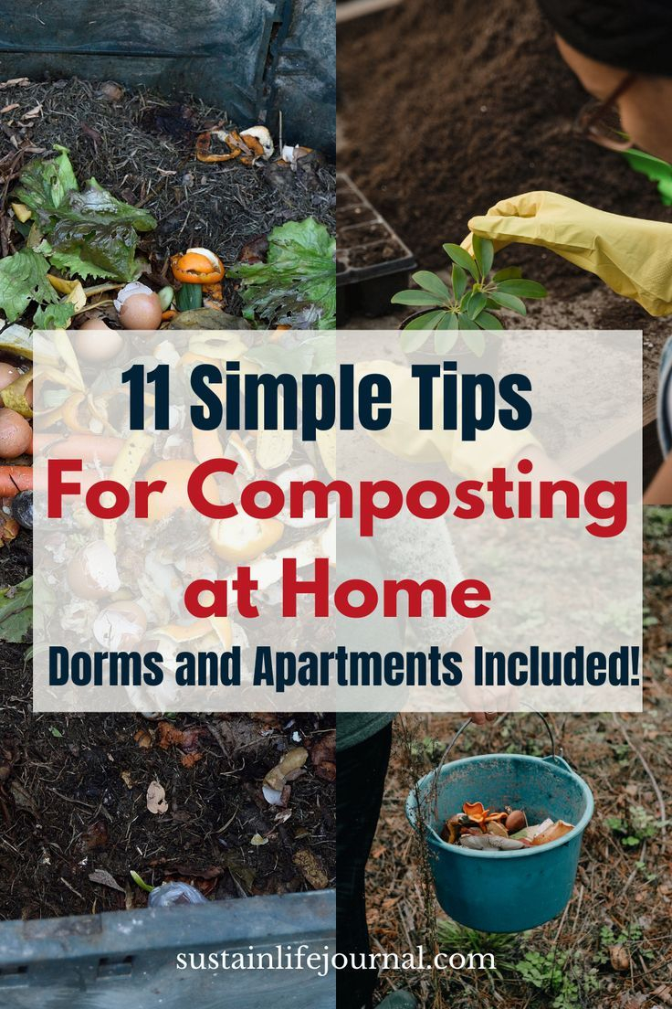 11 Simple Tips For Composting At Home (Dorms And Apartments Included ... with regard to How To Compost At Home Beginner