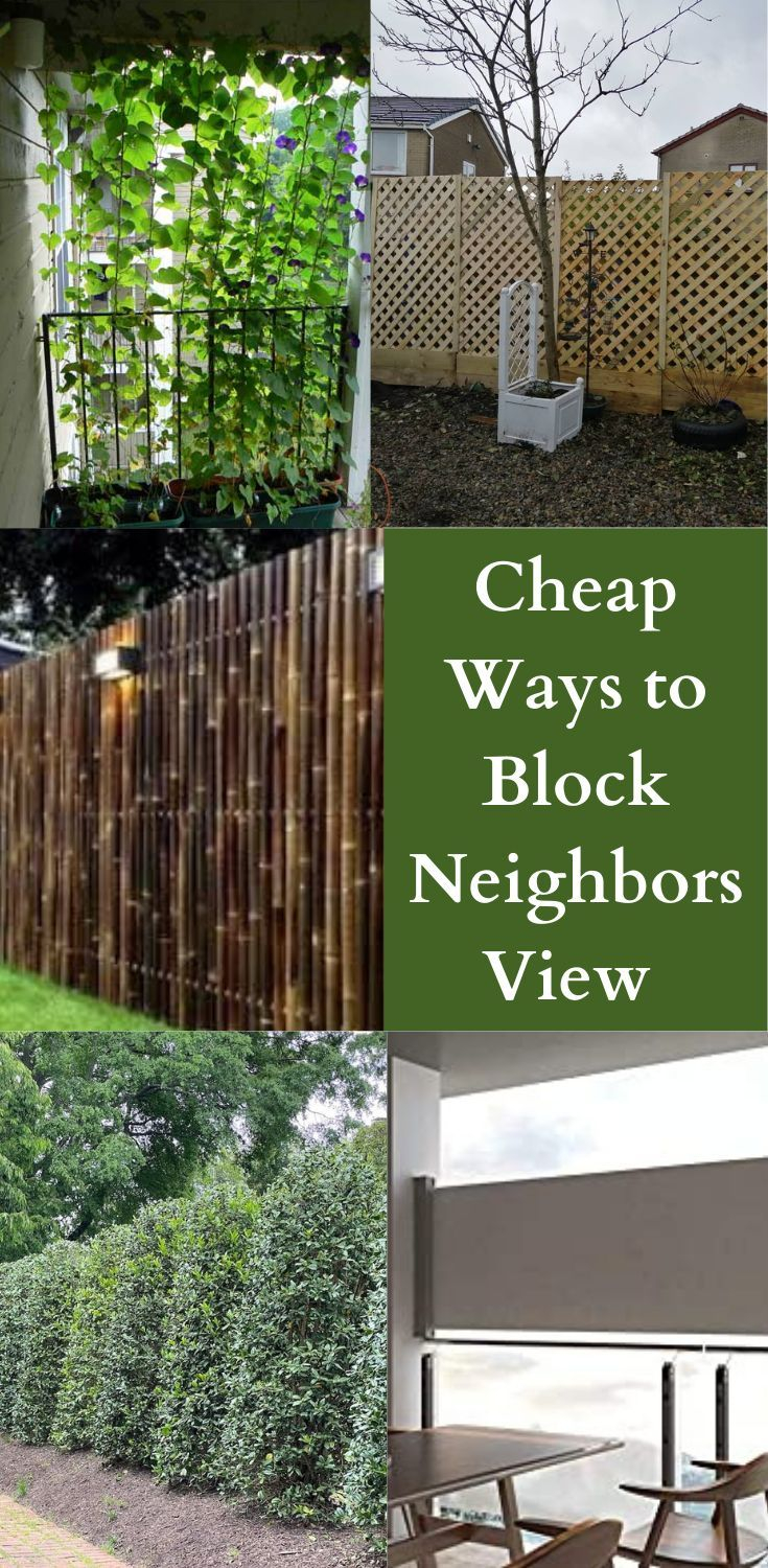 13 Cheap Ways To Block Neighbors View – Artofit with regard to Smart Ways to Block Nosy Neighbors Using Garden Trellises