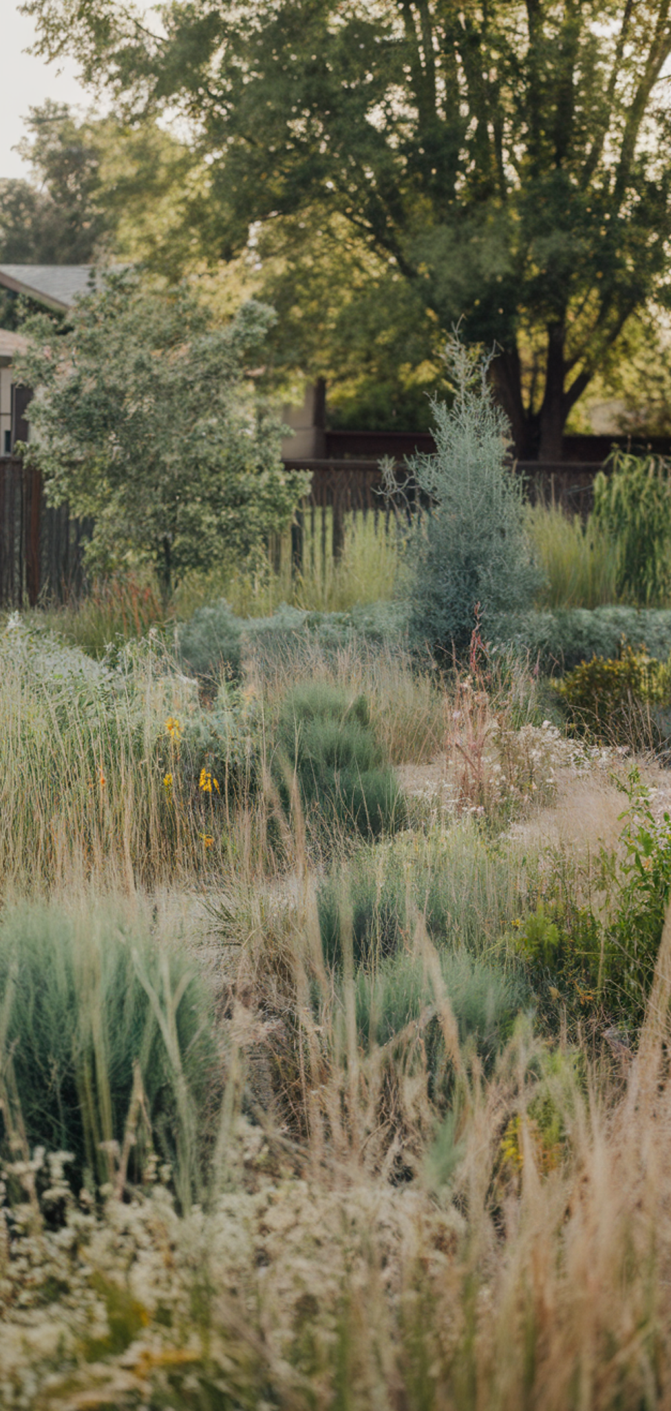 14 Ways To Landscape A Family Home Side Yard Without Breaking The Bank ... intended for How to Engineer a High-End Look in Your Small Yard Without Breaking the Bank
