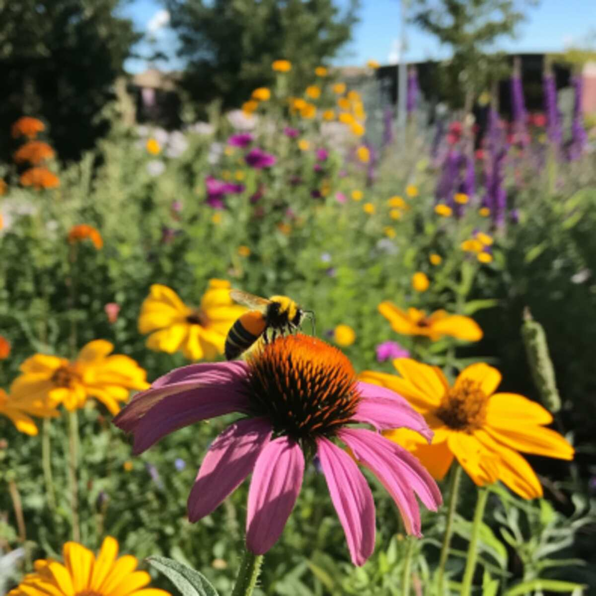 23 Creative Pollinator Garden Ideas To Boost Your Backyard in Small space pollinator gardening tactics that actually work for urban yards