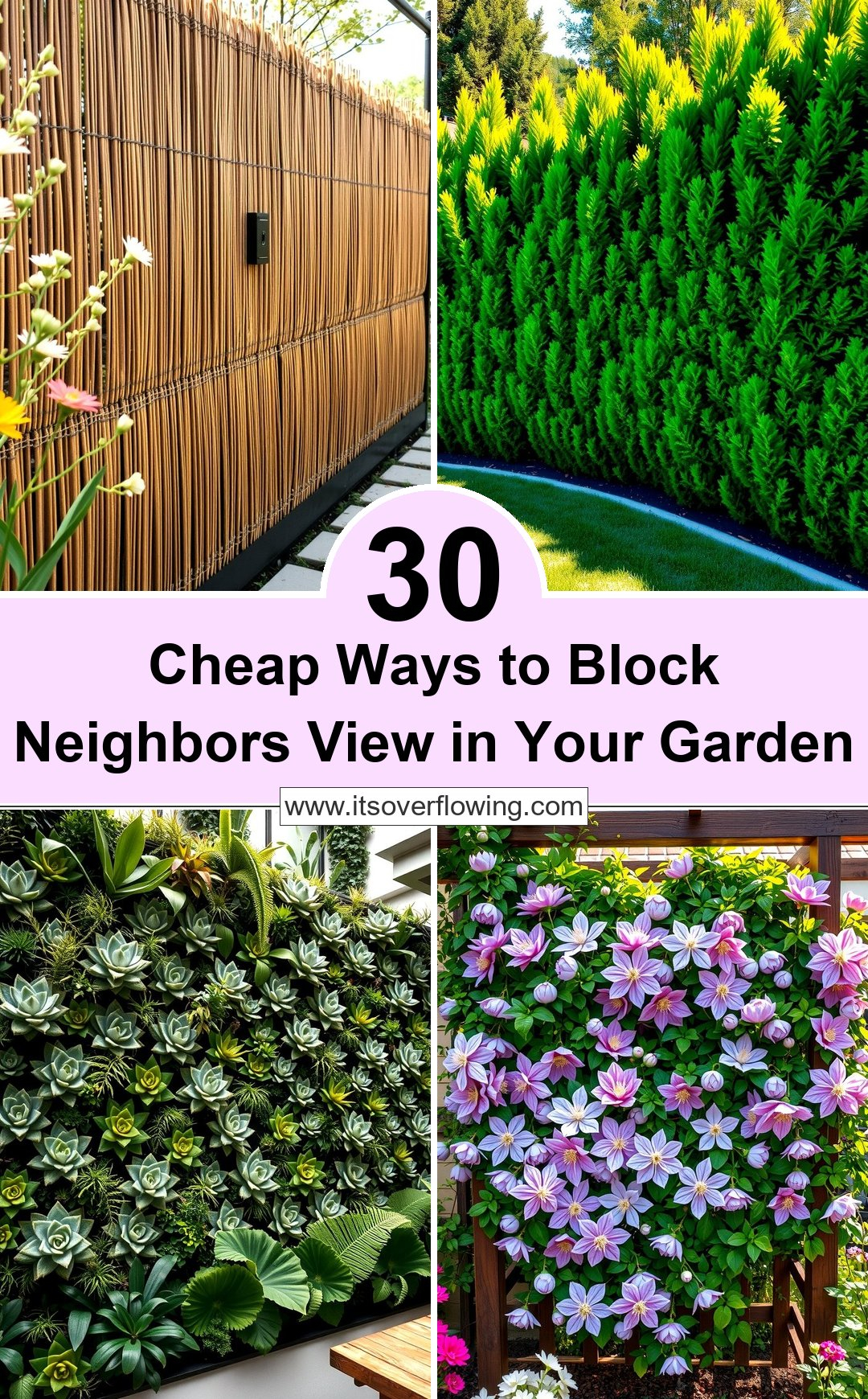 30 Cheap Ways To Block Neighbors View In Your Garden for Smart Ways to Block Nosy Neighbors Using Garden Trellises
