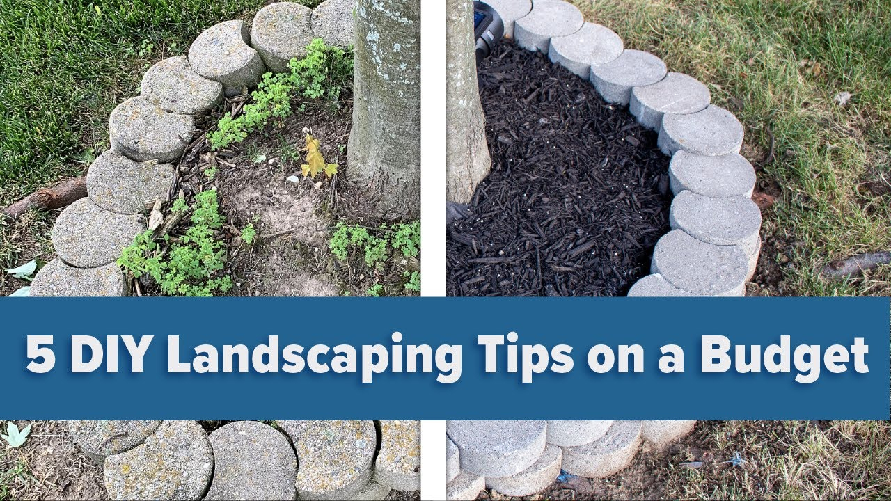 5 Diy Landscaping Tips On A Budget - Youtube pertaining to Understanding Where Your Monthly Landscaping Dollars Actually Go