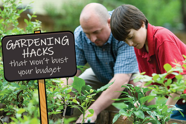7 Budget-Friendly Gardening Hacks intended for Why Hiring Pros Is Optional When You Know These Budget-Friendly Garden Hacks