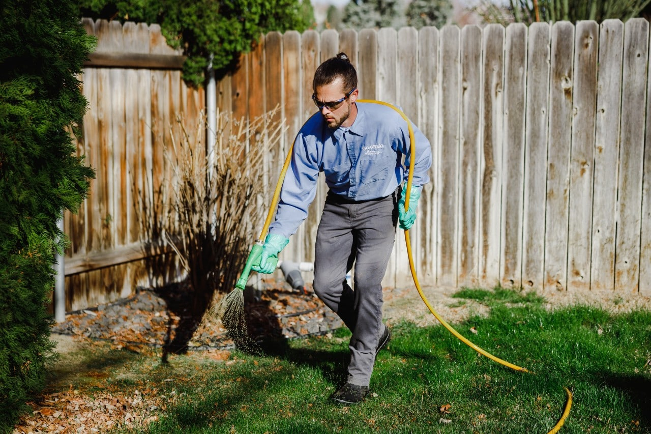 9 Benefits Of Routine Lawn Care Treatment | Colonial Lawn inside Lawn Care Schedule For Beginners