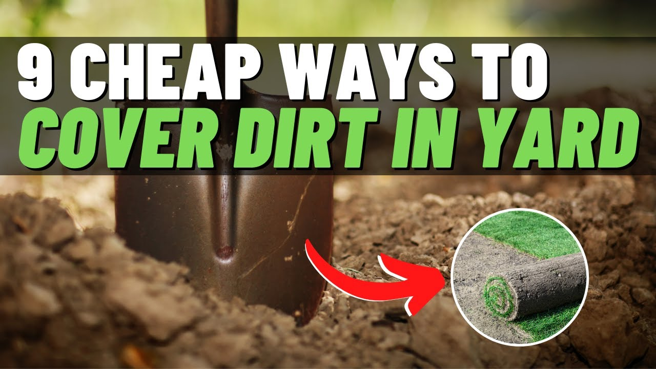 9 Cheap And Easy Ways To Cover Dirt In Your Backyard - Youtube with Inexpensive Ground Cover Ideas
