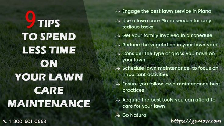 9 Tips To Spend Less Time On Your Lawn Care Maintenance In Plano ... for Lawn Care Schedule For Beginners