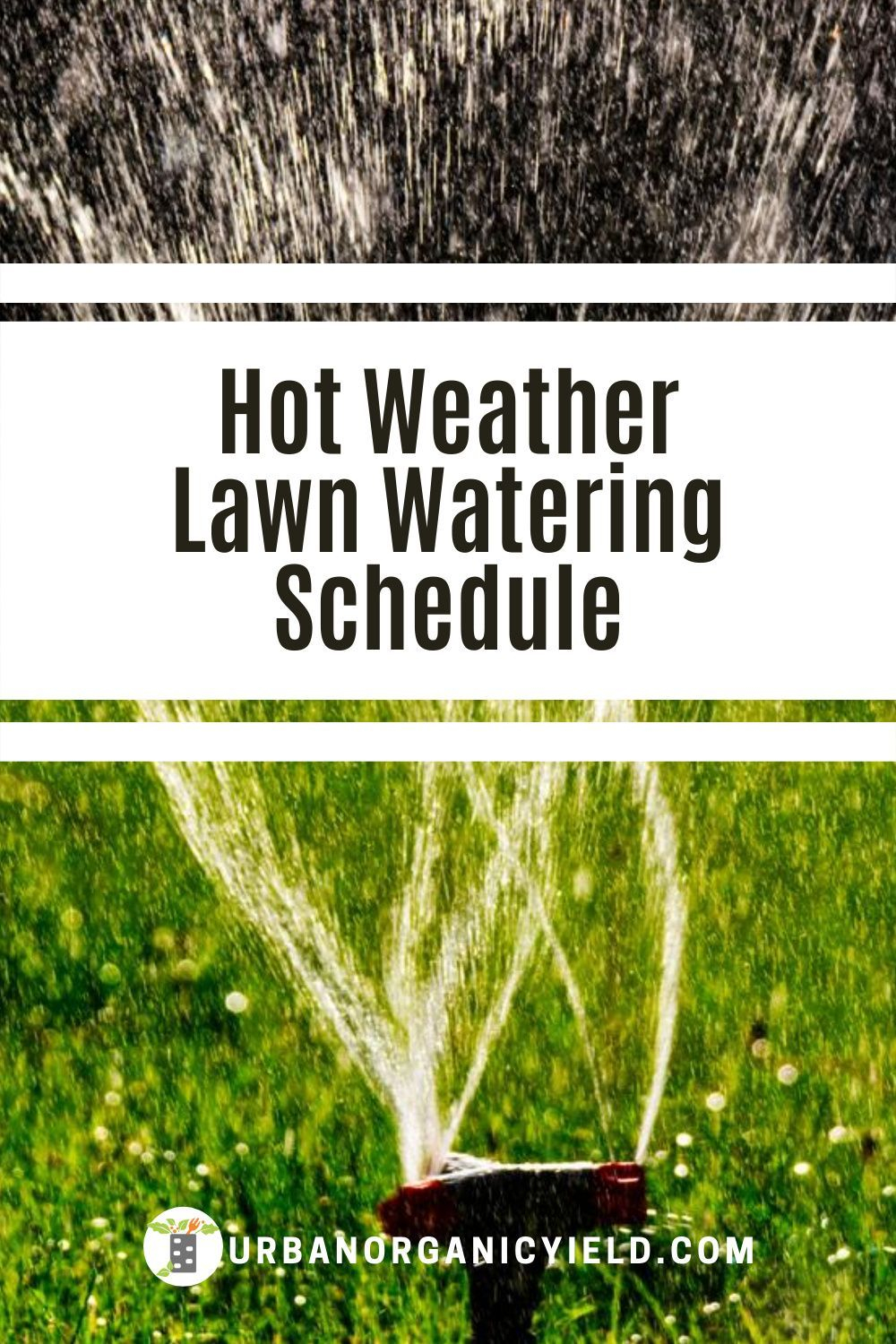 Best Lawn Watering Schedule When The Weather Is Hot | Lawn, Lawn ... within How To Water Lawn Efficiently Summer