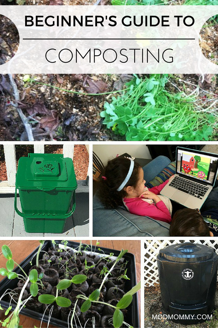 Composting A Complete Beginners Guide in How To Compost At Home Beginner