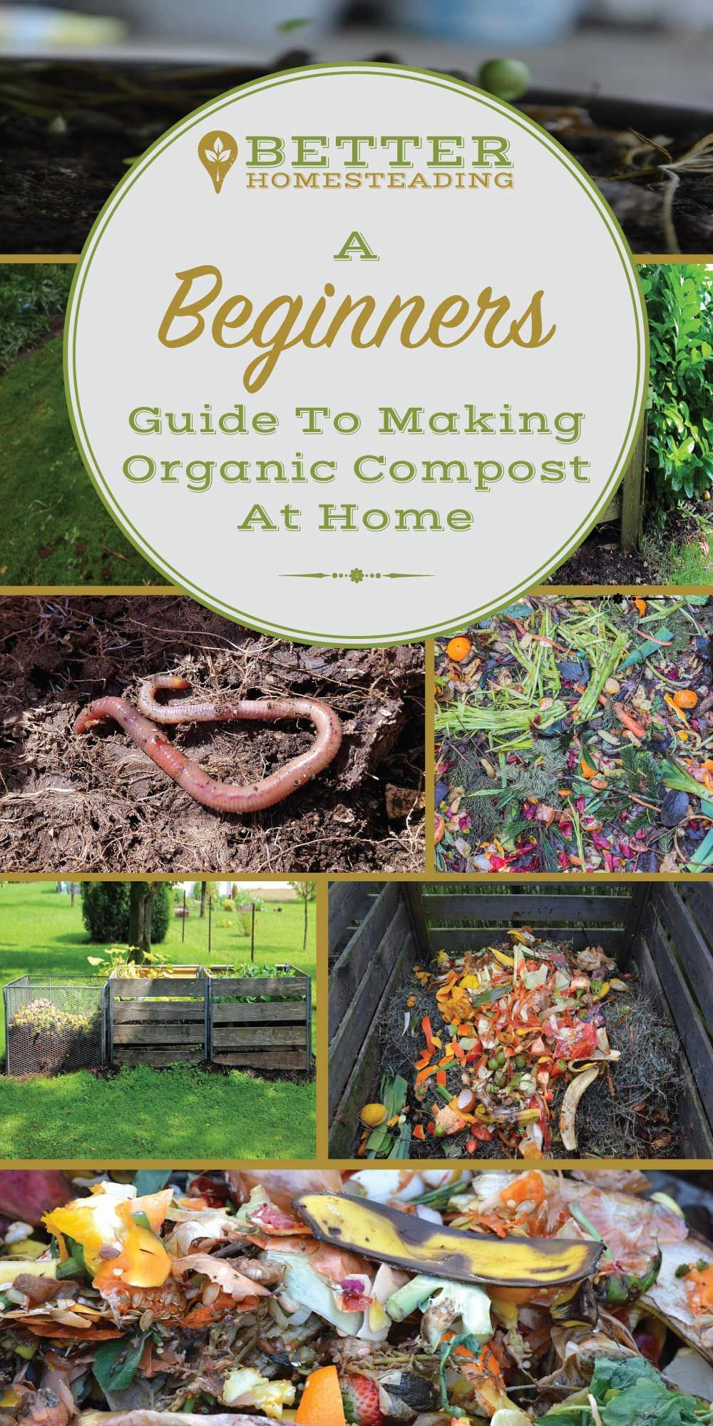 Composting A Complete Beginners Guide with The No-Stress Way to Start Composting at Home for Complete Beginners