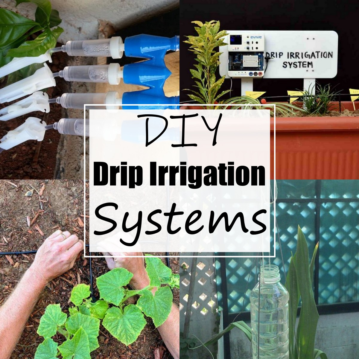 Diy Garden Irrigation | Diy Irrigation Systems – Kuglqu throughout How Much Does Drip Irrigation Cost
