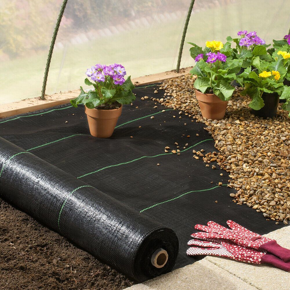 Do Professional Landscapers Use Fabric? pertaining to Inexpensive Ground Cover Ideas