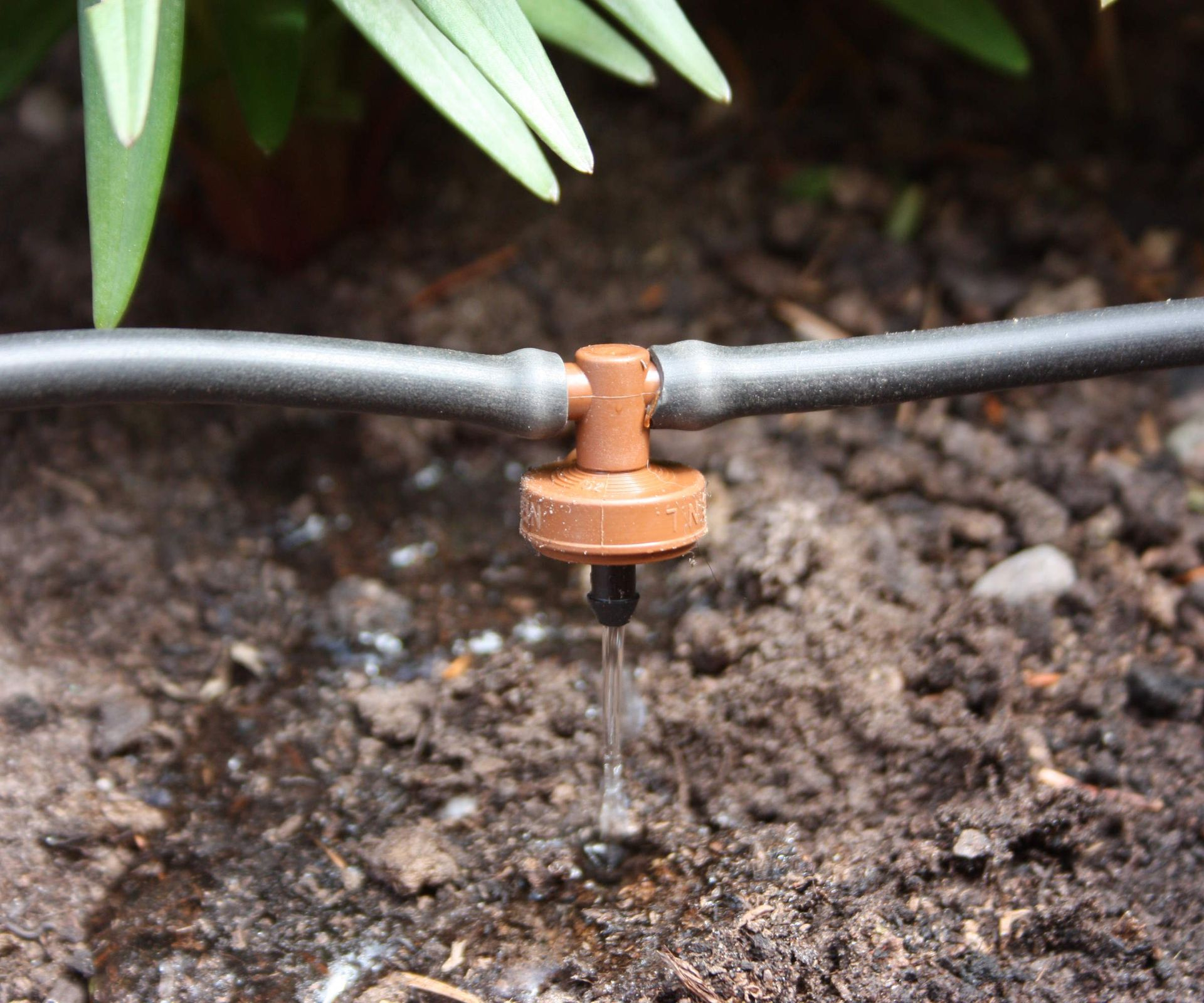 Drip Irrigation System Vs Soaker Hose: Pros And Cons Of Both | Homes ... throughout How To Set Up Soaker Hose Garden