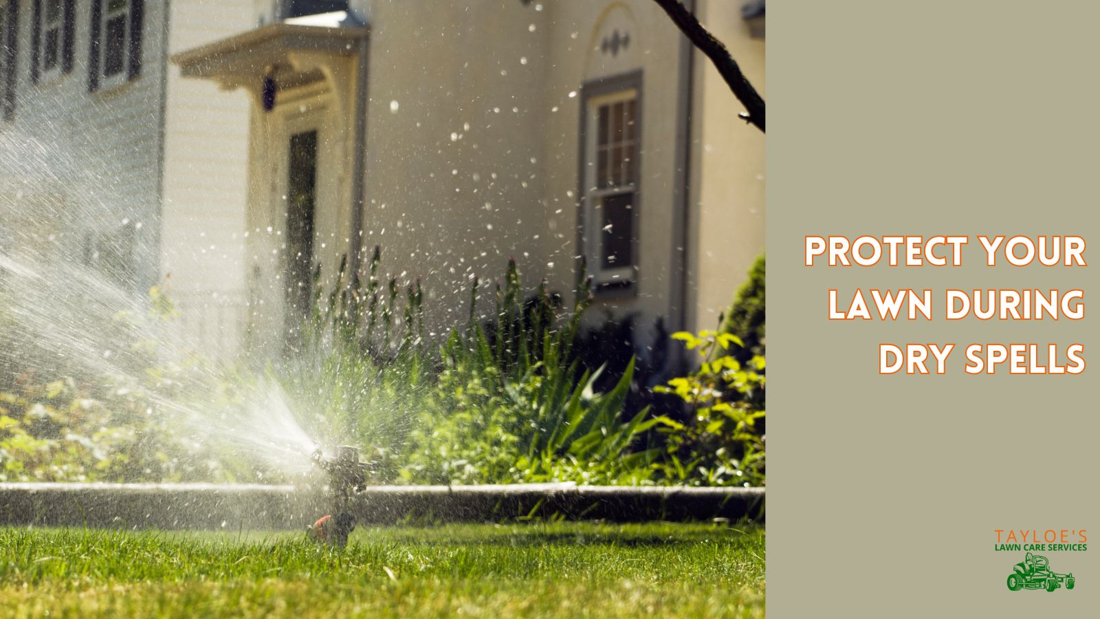 Dry Spells Can Damage Your Lawn - Follow These Protective Tips - Tayloe ... throughout How To Water Lawn Efficiently Summer