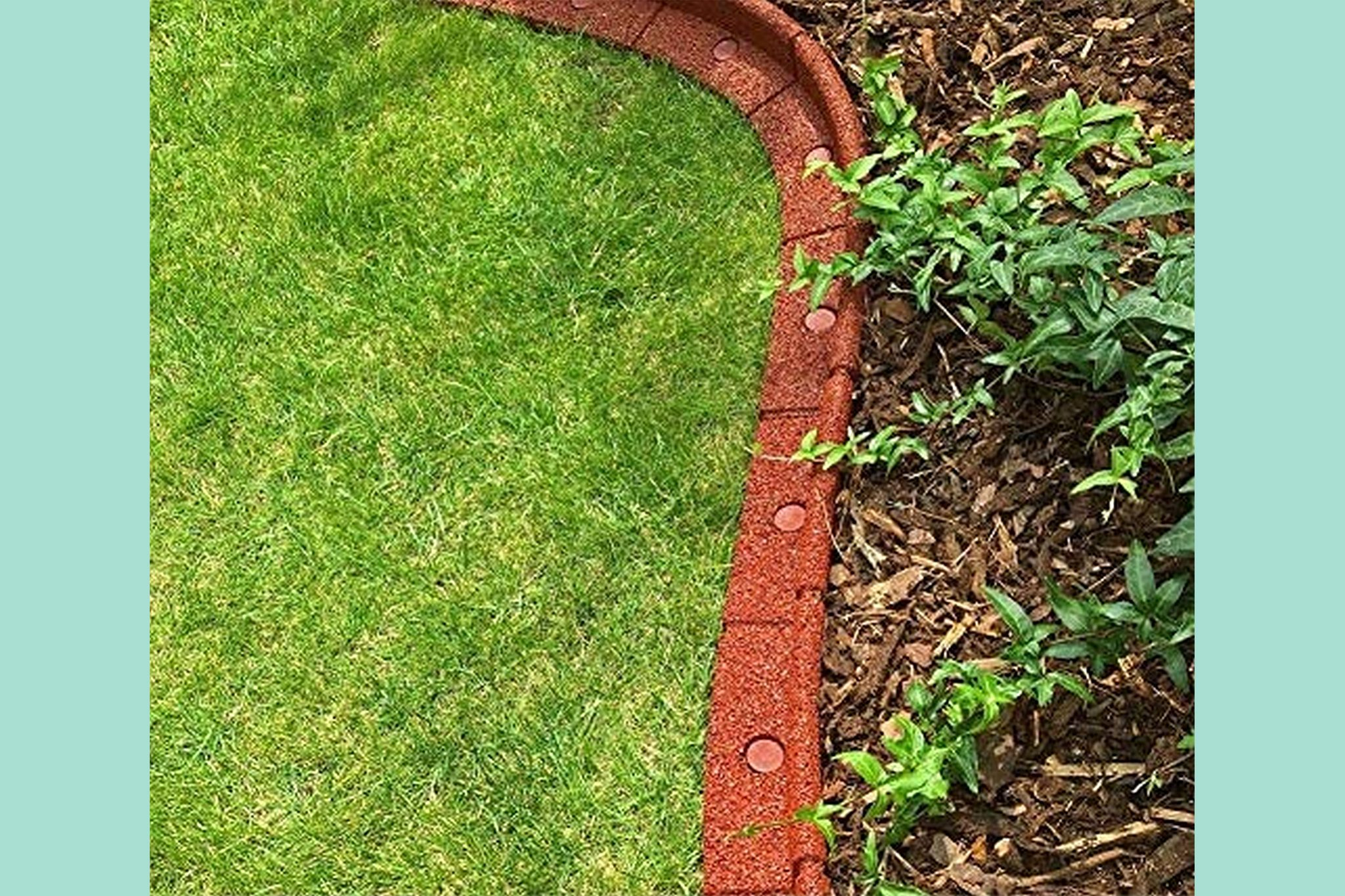 Garden Bed Edging Materials in The Ultimate Guide to Comparing Garden Border Edging Materials for Your Next Project