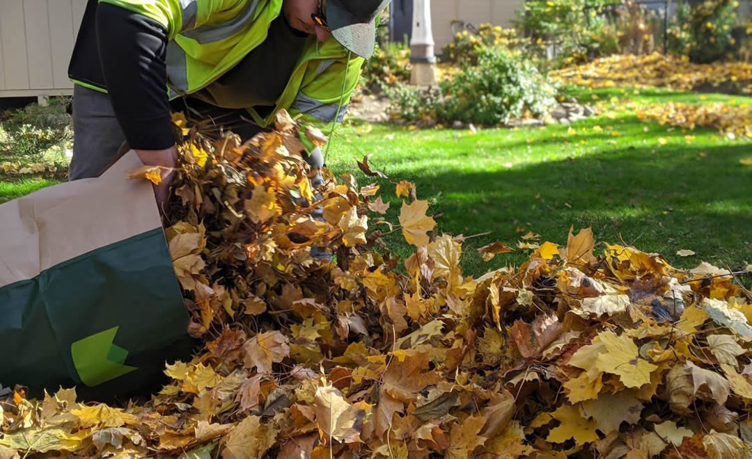 Garden Cleanups - Gardenzilla - Midtown Toronto with regard to How to Estimate Your Garden Cleanup Costs Without the Hidden Surprises