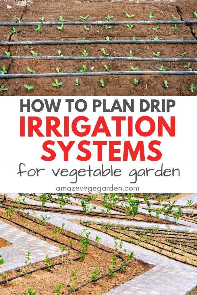 How Can I Plan Drip Irrigation Systems For My Vegetable Garden? – Amaze ... with regard to Stop Dragging Hoses and Start Growing Better Vegetables with DIY Drip Irrigation