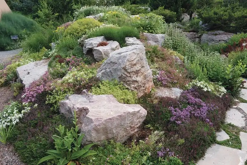 How I Built A Microclimate Using Only Three Rocks And A Tree - Plantisima inside Xeriscape Landscaping Ideas For Dry Climates
