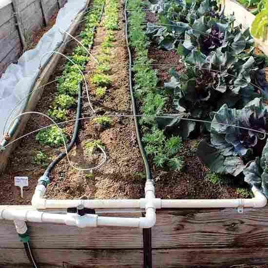 How To Build A Drip Irrigation System | Garden Watering System, Garden ... inside Stop Dragging Hoses and Start Growing Better Vegetables with DIY Drip Irrigation