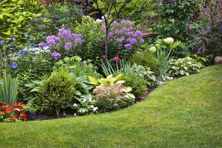 How To Choose The Best Plants For Your Garden with Erosion Control Plants For Slopes