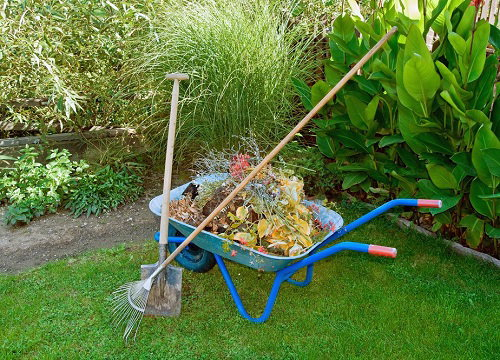 How To Clean A Fall Garden Without Disturbing Beneficial Insects regarding How to Estimate Your Garden Cleanup Costs Without the Hidden Surprises