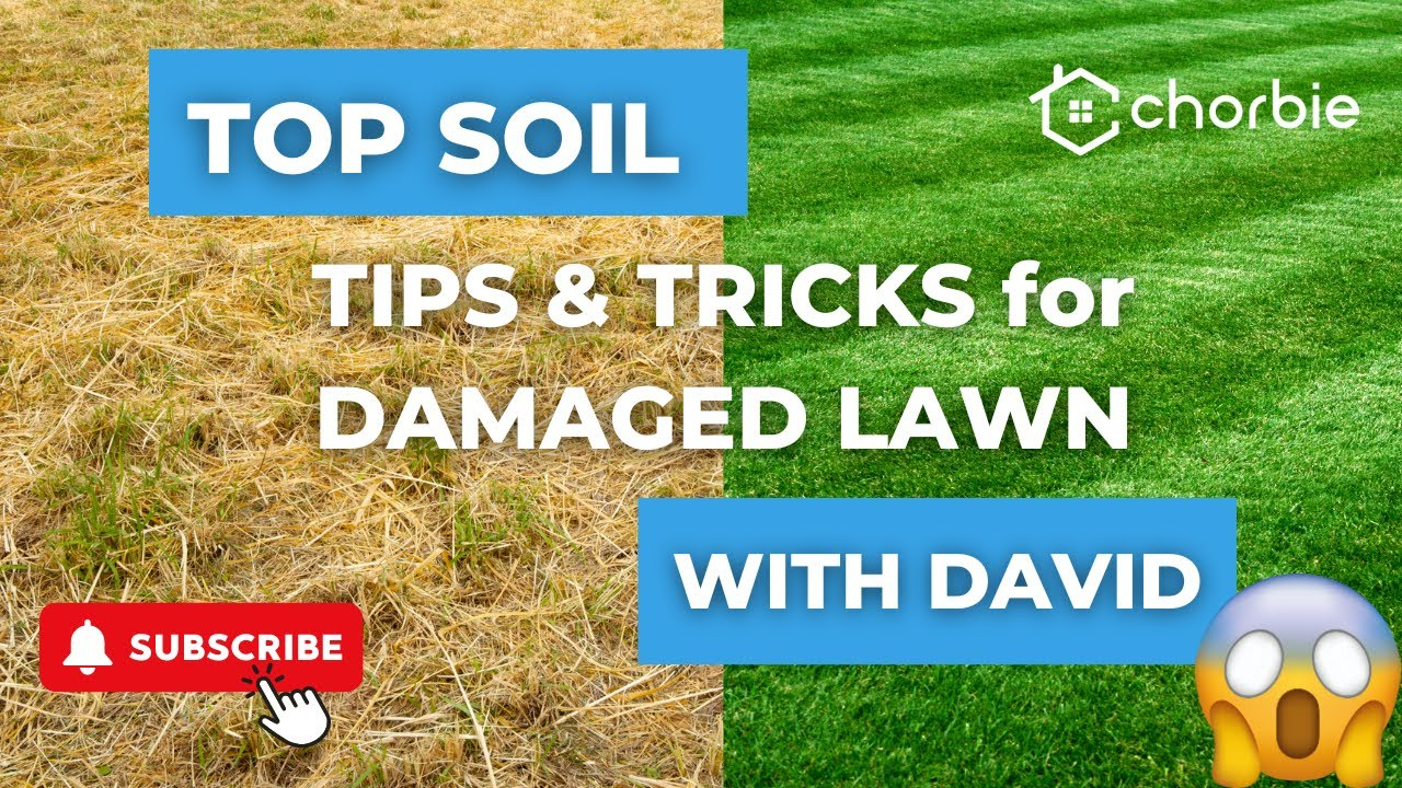 How To Fix A Dry Lawn (Expert Hack And Easy Steps) - Youtube throughout How To Fix Muddy Backyard Cheap