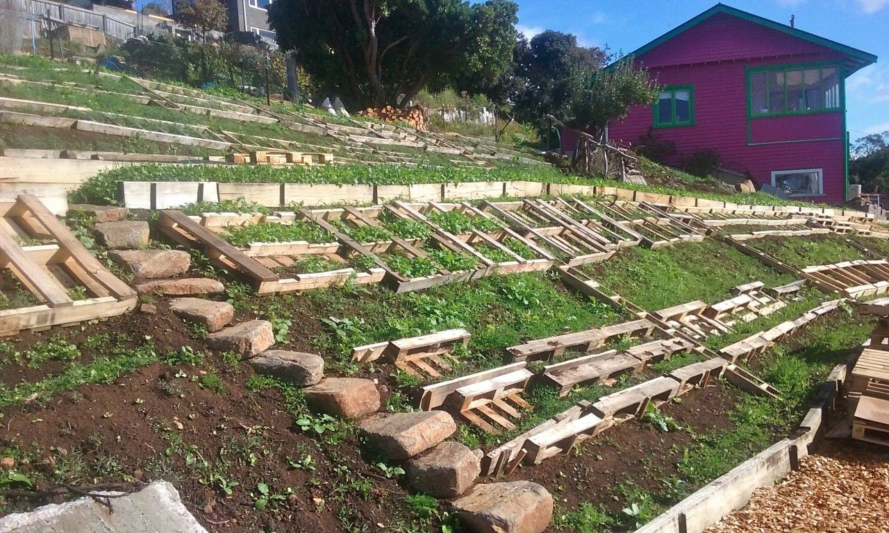 How To Landscape A Steep Slope | Sloped Garden, Sloped Backyard ... with Real Ways Homeowners Are Saving Their Sloped Yards from Severe Soil Loss in 2026