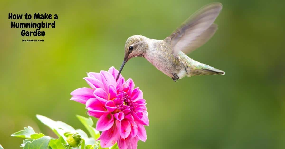 How To Make A Hummingbird Garden - Diy And Fun intended for Simple Layout Changes That Make Your Garden Irresistible to Hummingbirds This Year