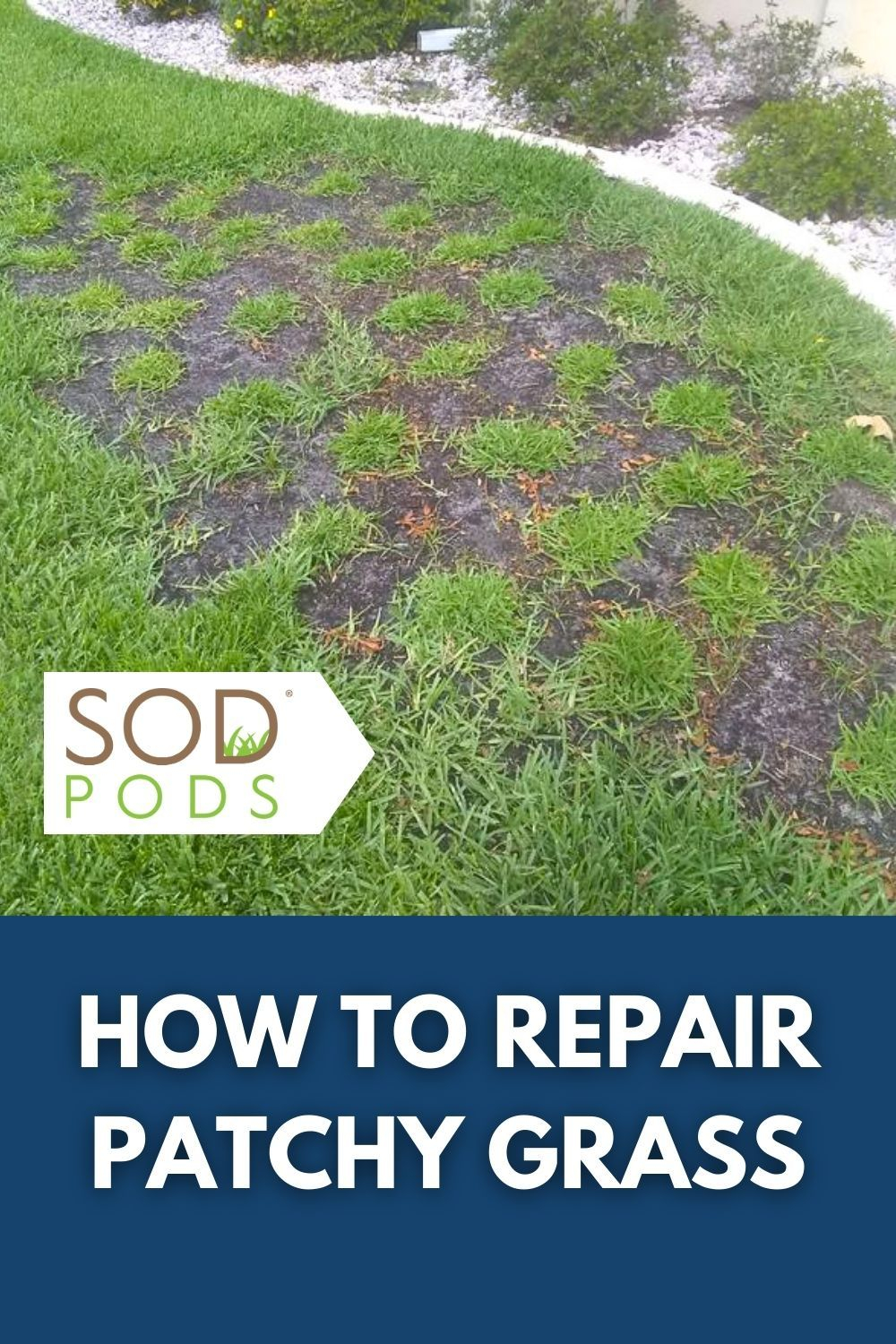 How To Repair Patchy Grass | Patchy Grass In Yard intended for A Weekend Guide to Reseeding and Repairing Patchy Grass Naturally