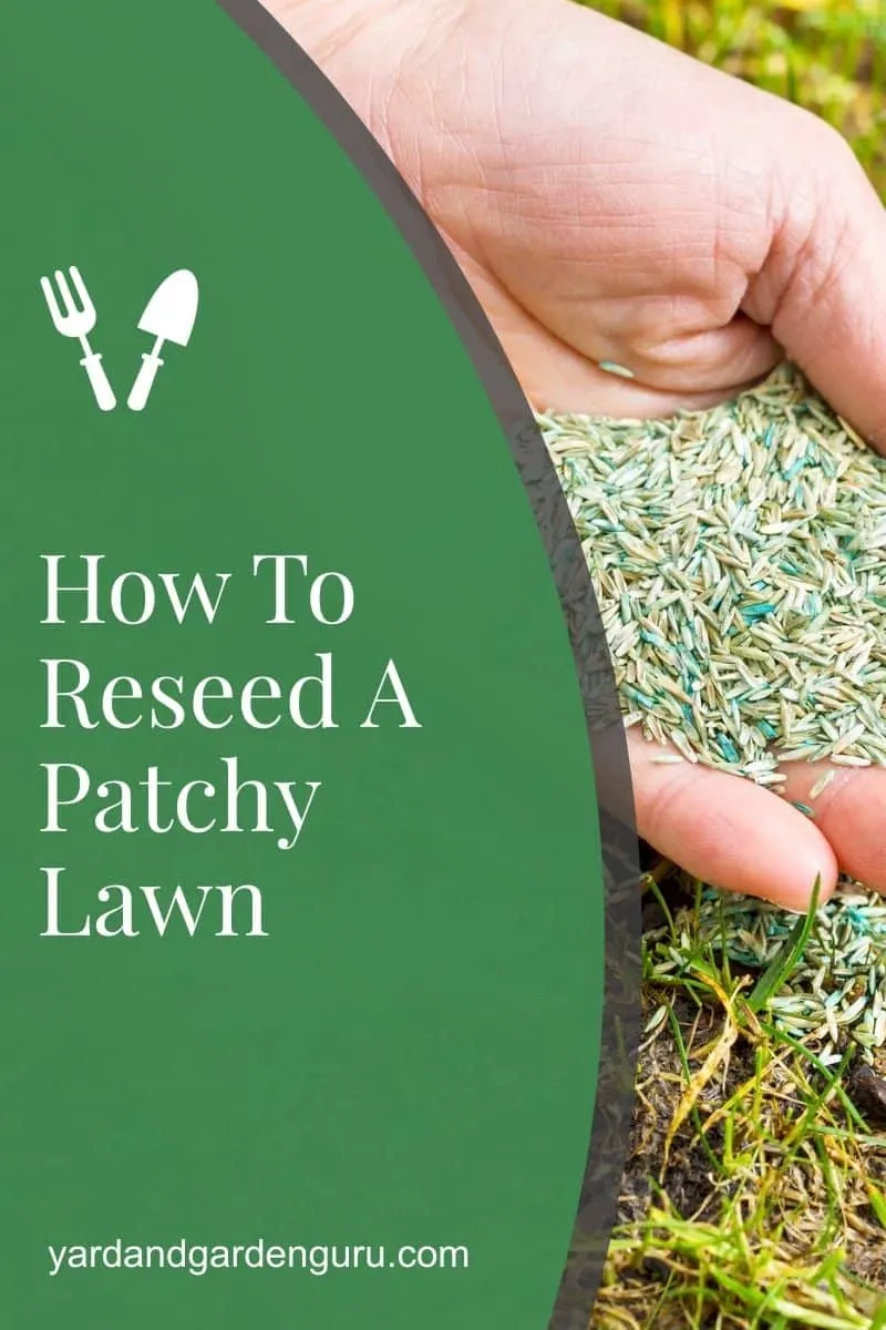 How To Reseed A Patchy Lawn regarding How To Fix Patchy Lawn Naturally