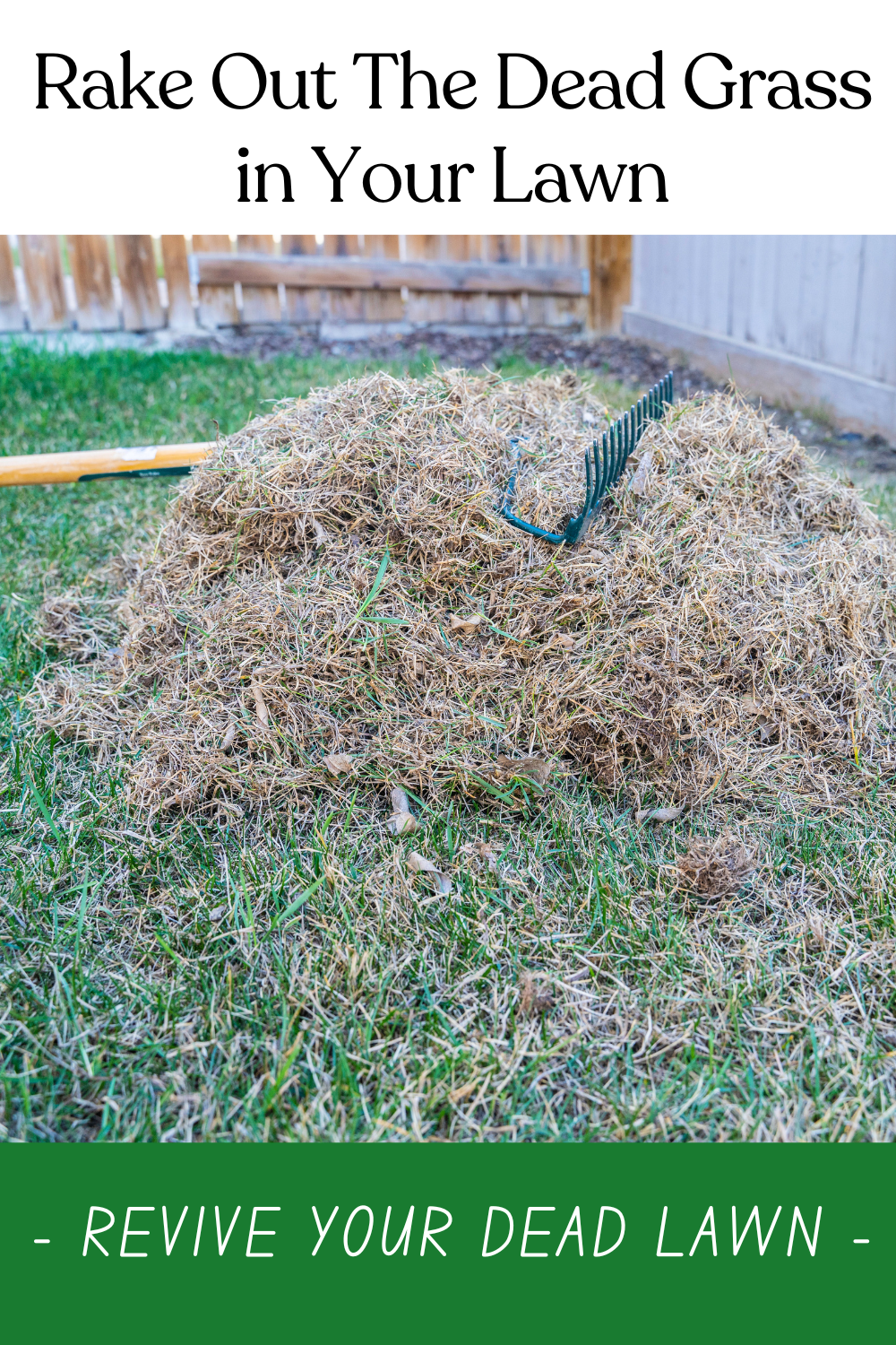 How To Revive Dead Grass: Step-By-Step Lawn Rescue | Diy Garden regarding How To Revive Dead Grass Patches