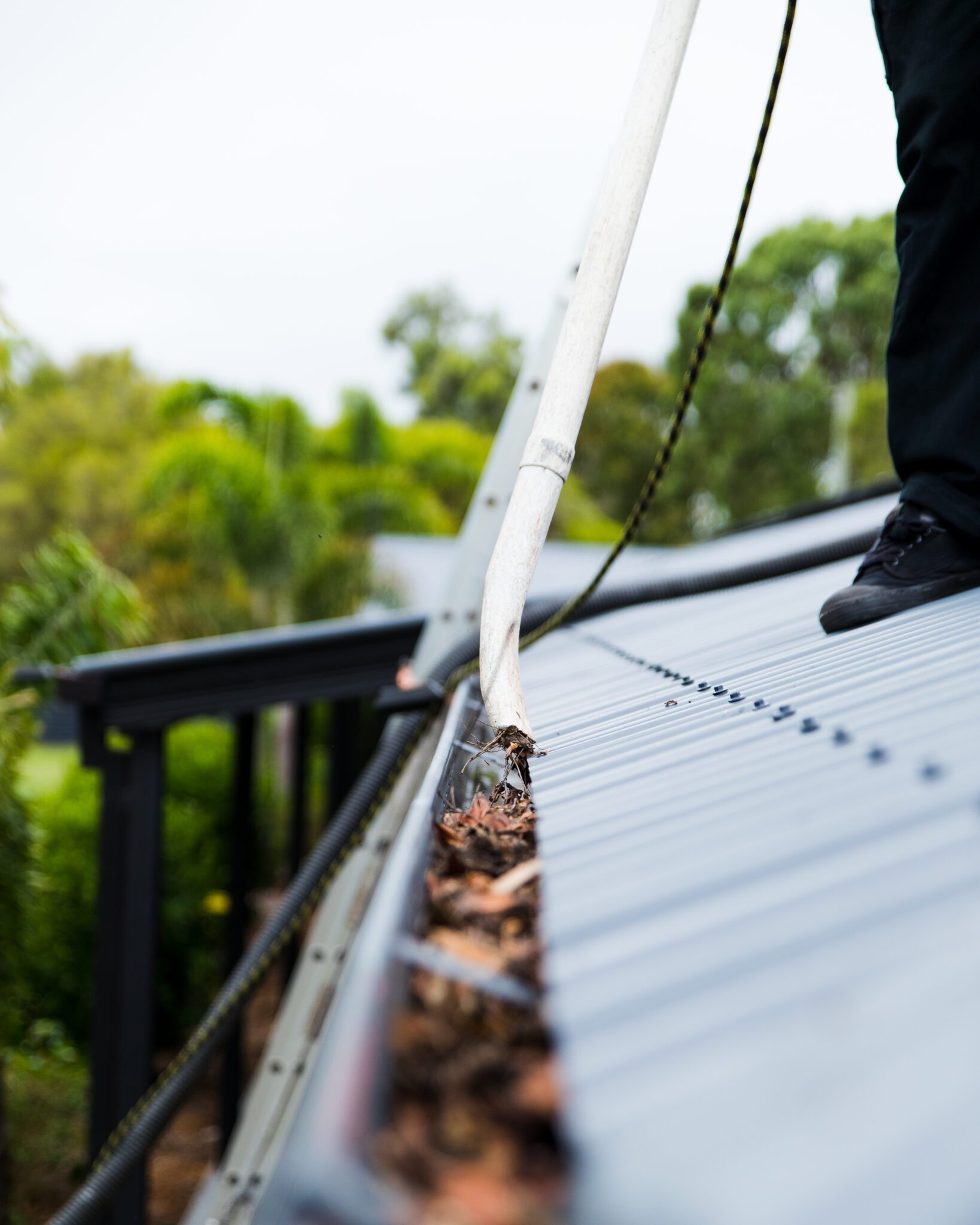 Is Gutter Cleaning Worth The Cost? for Is the $233 Average Gutter Cleaning Cost Worth It This Year