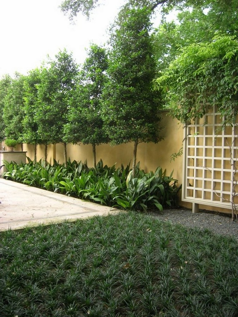 Landscaping Ideas For Privacy At Gwen Mayer Blog for Beautiful Privacy Landscaping Ideas That Blend Seamlessly into Your Garden
