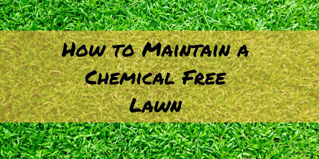 Lawn Care Calendar | Monthly Garden Advice pertaining to Organic Lawn Fertilizer Schedule