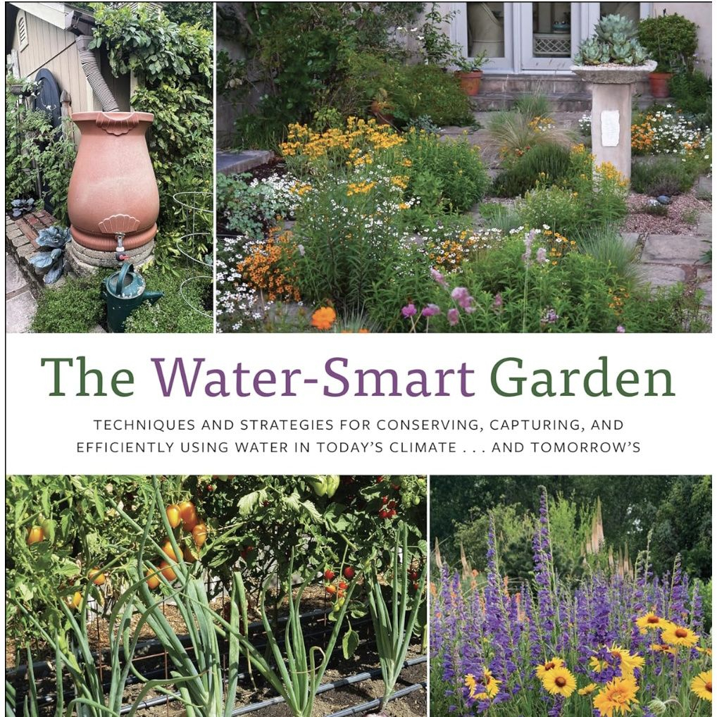 Low-Maintenance Drought-Tolerant Plants: 10 Expert Selections | Homes ... inside Smart Plant Choices That Keep Your Yard Stable During Heavy Rains